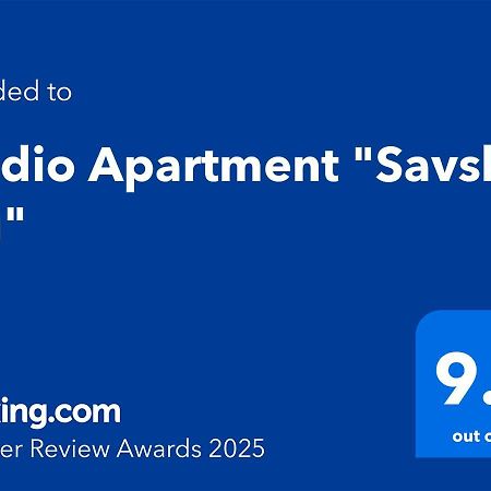 Studio Apartment "Savski Trg" بلغراد المظهر الخارجي الصورة